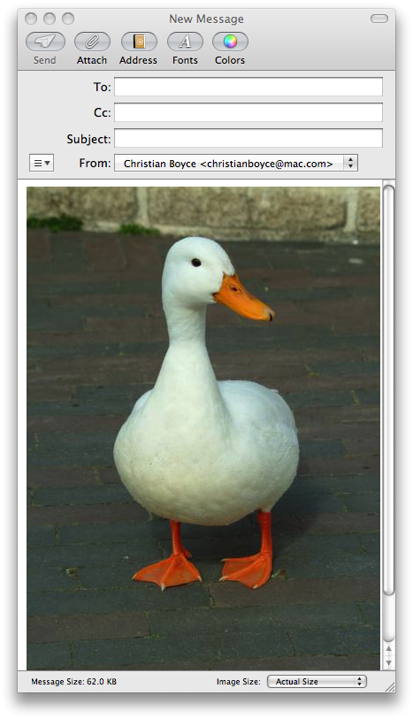 Mail message with duck image attachment