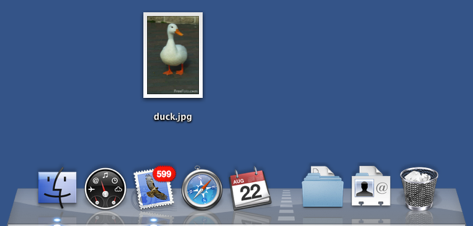Dock with duck image icon